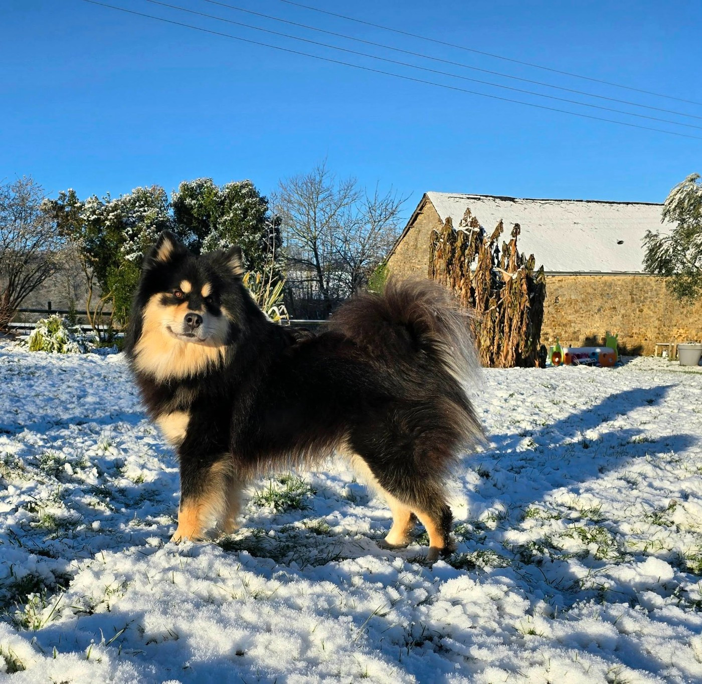 VIKING IVAR Des Gardiens De La Laponie