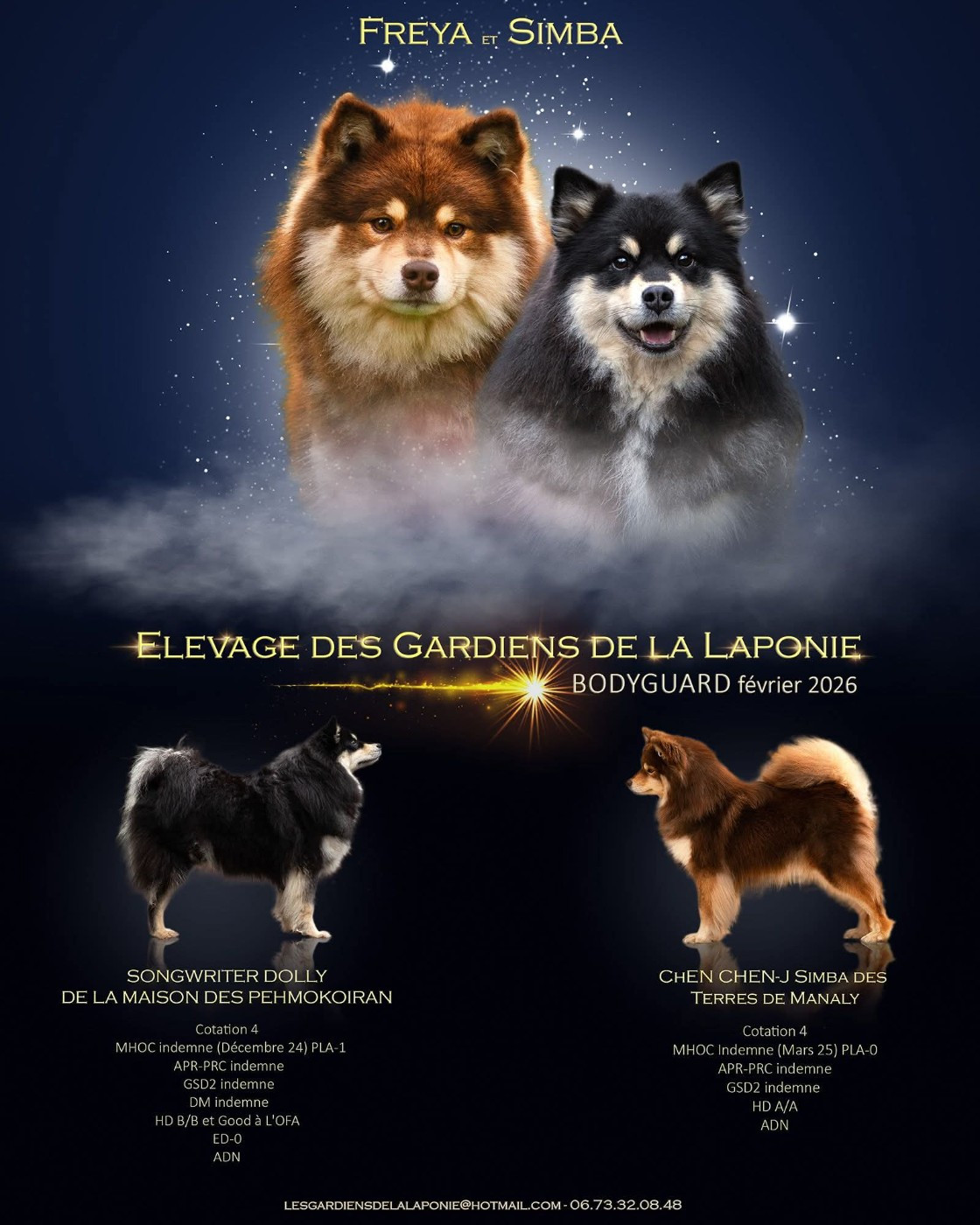 Des Gardiens De La Laponie - Chien finnois de Laponie - Portée née le 10/02/2026